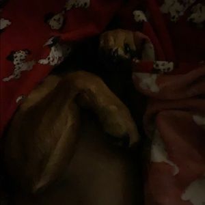 Meet your Posher, Tanya